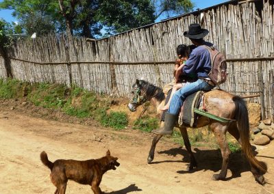 Although it´s difficult to tell what is happening here in San Antonio las Flores, Sumpango, the raised hair on the dogs back gives us an idea of the action.