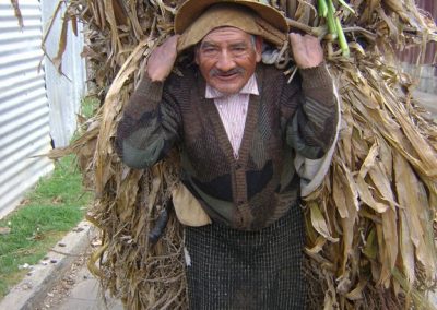 Although Bernardino Teleguario, carrying corn stalks doesn´t wear a shirt of Patzún, Chimaltenango, he does have on the white pants and rodillera typical of many towns of the highlands.Patzún, Chimaltenango