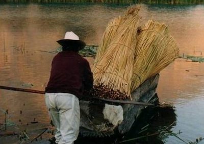 Behind the Isla del Gato, Santiago Atitlán I encountered the tuleros Diego and Francisco. Although among my first photographic subjects in Guatemala, they were among my best.