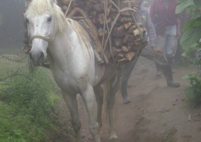 Chutulul, San Antonio Palopó