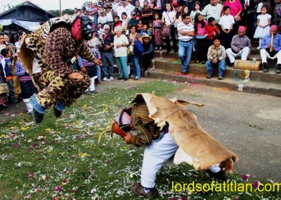 The traditional Dance of the Deer includes many classes of animals and husband and wife hunters. Only the Tiger and several deer dance in Patzún's Dance of the Deer, however, They call him Tigre, but he is actually a jaguar, and wears a genuine jaguar pelt. Likewise, the deer wear deer hides.