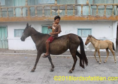 I rarely see horses near Lake Atitl{an, but in Champerico there are plenty.