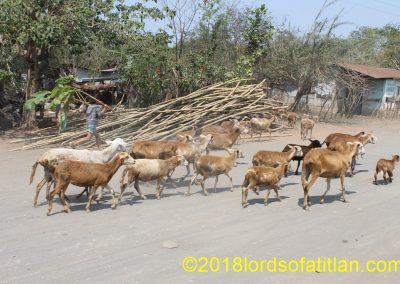 This is El Triunfo, an agrarian community of Champerico in Retalhuleu. But its people emigrated from the highland towns of Nebáj and Santa Cruz del Quiché, in the Department of El Quiché.