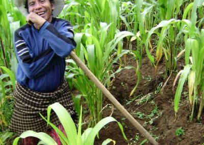 Farmer cleaning milpa in Sector Buena Vista, Peña Blanca. However, he also sells used electronics in the market of San Lucas to survive.