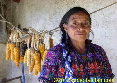 Woman from Chui Solís with drying corn. Although the corn harveat is meager, the quality and variety of highland Guatemalan corn is superior to my Illinois variety.