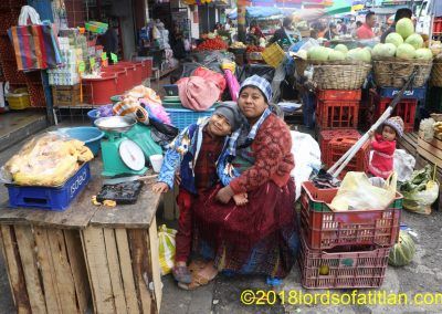 For the best vegetables, however, Almolonga, the mecca of the vegetable